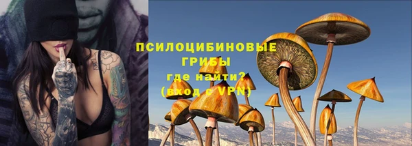шишки Каменка