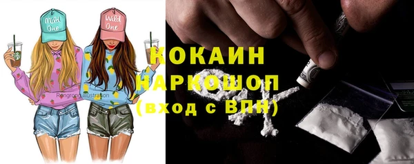 шишки Каменка