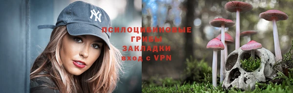 спиды Каменск-Шахтинский