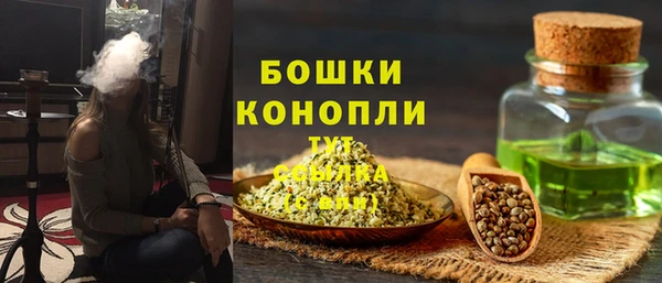 шишки Каменка