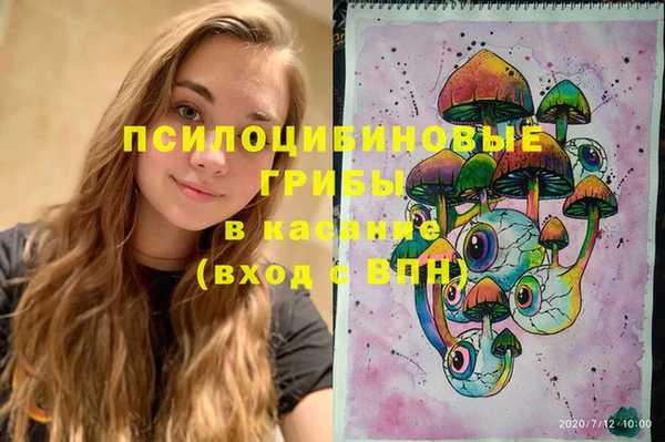 герыч Каменногорск