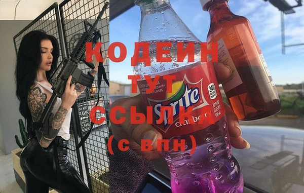 шишки Каменка
